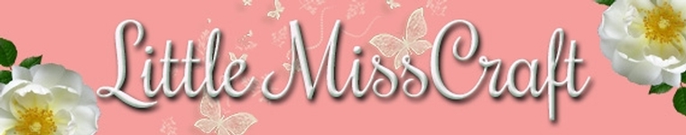 Little Misscraft