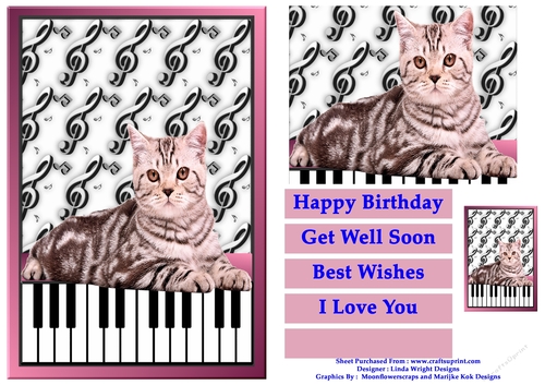 Cat 2 and Piano Keys A5 Size