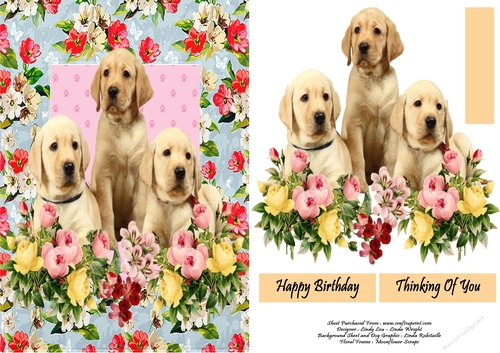Labrador Pups and Flowers