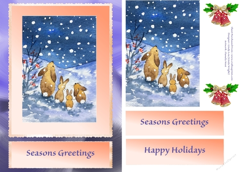 Rabbit Family In The Snow