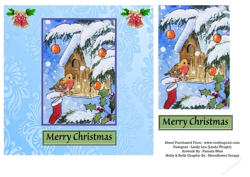 Robins Birdhouse and Christmas Stocking