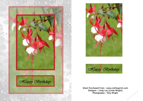 Brilliant Fuschia Birthday Silver