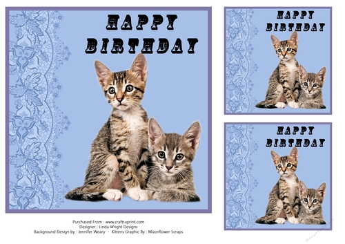 Pussy Friends Birthday 7in x 7in