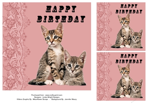 Pussy Friends Birthday 7in x 7in Pink