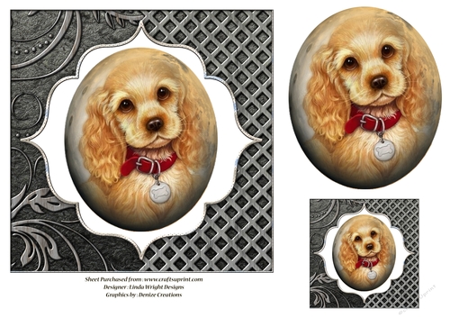 Dog with Red Collar  7 x 7 in