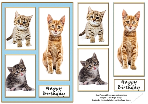 Cats and Kittens Birthday Card A5