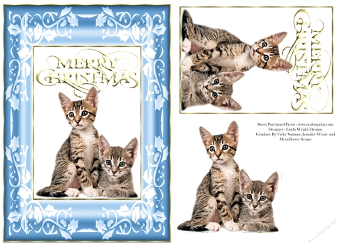 Christmas Kittens A5 Card Blue