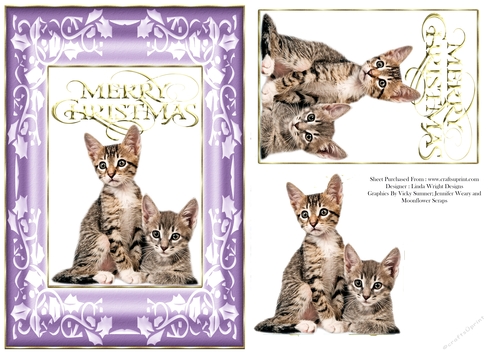 Christmas Kittens A5 Card Purple