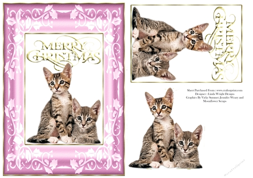 Christmas Kittens A5 Card Pink