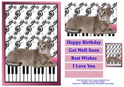 Cat 1 and Piano Keys A5 Size