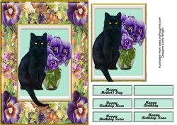 Black Cat and Pansies