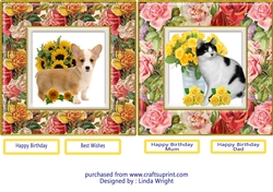 Black & White Cat and Corgi Dog