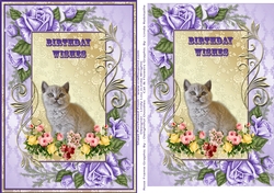 Grey Kitten and Flowers