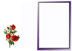 Insert For Poppies And Daisies On Musical Background