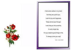 Insert For Poppies And Daisies On Musical Background