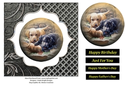 Labrador Friends