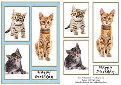 Cats and Kittens Birthday Card A5