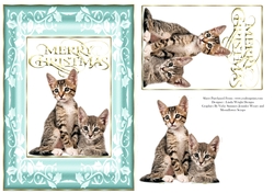 Christmas Kittens A5 Card Green