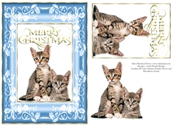 Christmas Kittens A5 Card Blue