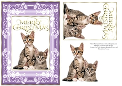 Christmas Kittens A5 Card Purple