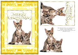 Christmas Kittens A5 Card Yellow