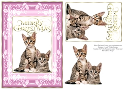 Christmas Kittens A5 Card Pink