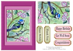 Blue Tits In Spring