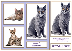 Black Cat and Kittens 7in x 7in