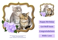 Cat In Floral Rose Frame 7 x 7 Inches No.2