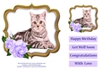 Cat In Floral Rose Frame 7 x 7 Inches No.1