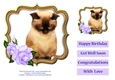Cat In Floral Rose Frame 7 x 7 Inches No.4