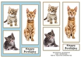 Cats and Kittens Birthday Card A5