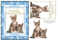 Christmas Kittens A5 Card Blue