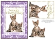 Christmas Kittens A5 Card Purple