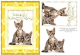 Christmas Kittens A5 Card Yellow
