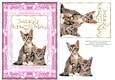 Christmas Kittens A5 Card Pink