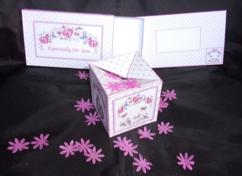Cute cats pop-up box with matching slide box and optional envelope