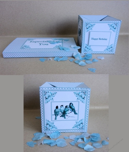 Cute birds pop-up box card with matching sleeve and optional envelope.