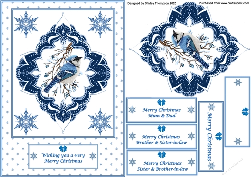 A5 bird on a branch Christmas quick card front