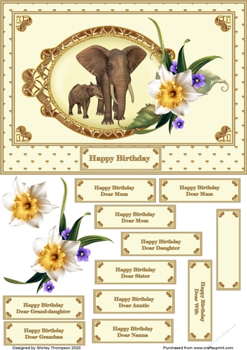 A5 elephant mum & calf quick card front