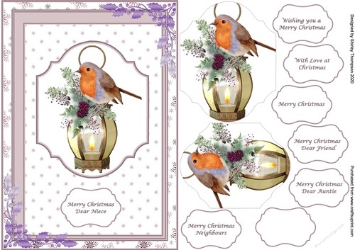 A5 robin on a lantern step by step card front (Lilac)