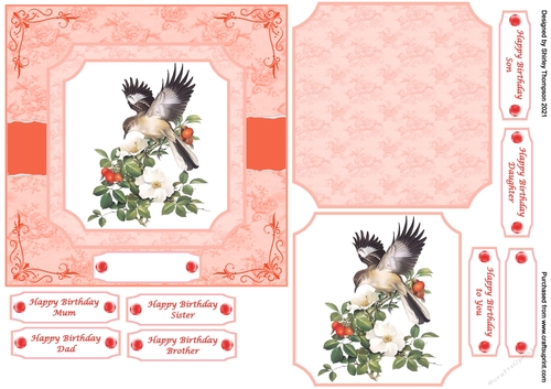 6 x 6 torn page bird step by step card front (Orange/red)