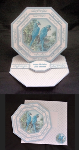 Hyacinth macaws octagonal easel card with matching envelope
