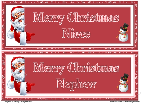 Pair of DL quick Christmas card topper (Niece & Nephew)