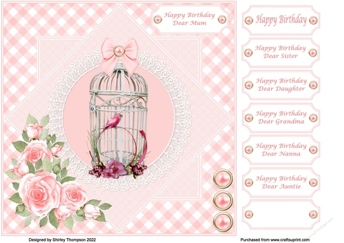 8 x 8 budgie in a cage quick card front