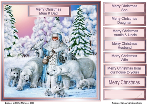8 x 8 Father Christmas and animal friends quick card front