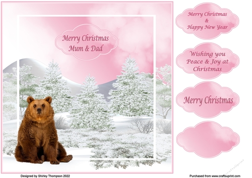 8 x 8 Brown bear on a snowy background quick card front
