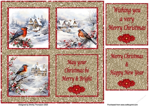 8 x 8 winter birds quick card front
