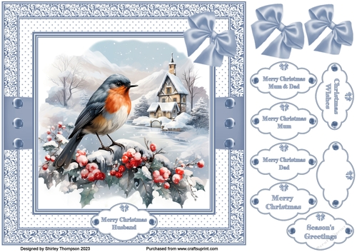 8 x 8 Winter bird quick card front