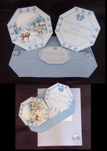 Deer in the snow octagonal double easel card with matching envelope.